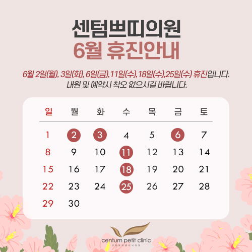 휴진안내