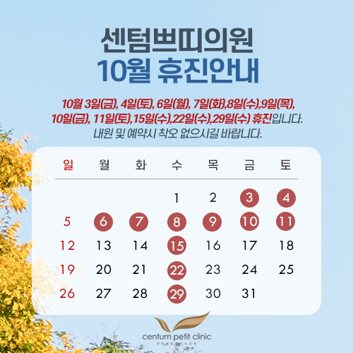 휴진안내